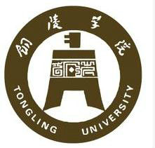 铜陵学院一流本科专业建设点名单（国家级+省级）